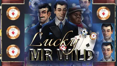 lucky mr wild